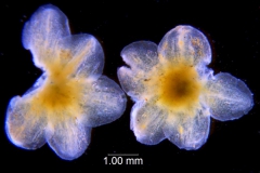 _untitled__11321__9_