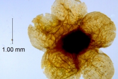 _untitled__178946__11_