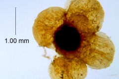 _untitled__178946__12_