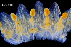 _untitled__178946__17_