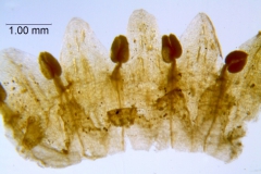 _untitled__178946__18_