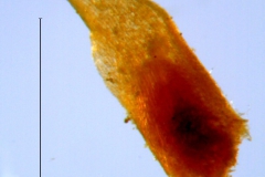 _untitled__178946__20_