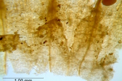 _untitled__178946__21_