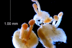 _untitled__178946__26_