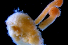 _untitled__178946__28_