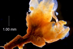 _untitled__178946__4_