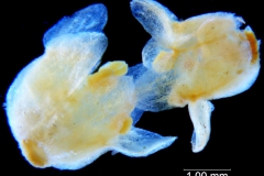 _untitled__178946__6_