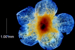 _untitled__178946__7_