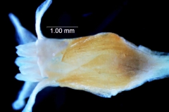 _untitled__113245__3_