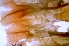 _untitled__198762__10_