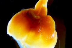 _untitled__198762__1_