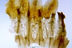 _untitled__198762__20_