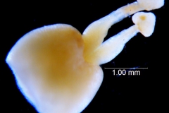 _untitled__198762__23_