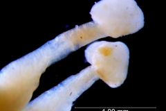 _untitled__198762__24_