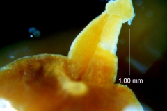 _untitled__198762__2_