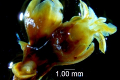 _untitled__198762__3_