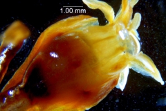 _untitled__198762__4_