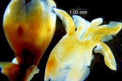 _untitled__198762__5_