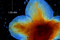 _untitled__16735__10_