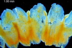 _untitled__16735__14_