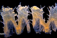 _untitled__16735__21_