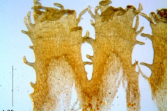 _untitled__16735__25_