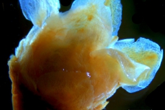 _untitled__16735__2_