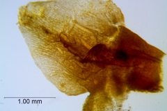 _untitled__16735__33_