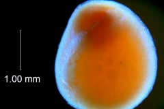 _untitled__16735__40_