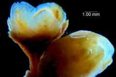 _untitled__16735__5_