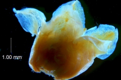 _untitled__16735__6_