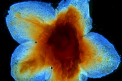 _untitled__16735__9_