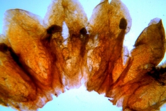 _untitled__1486__16_