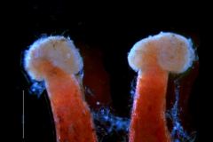 _untitled__1486__21_