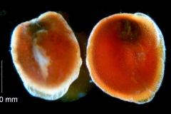 _untitled__1486__26_