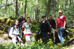 at Inglis Falls (with Mahonia aquifolium)