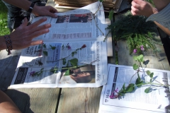 busy hands pressing plants