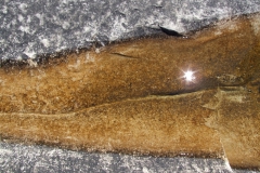 abstract art? Nope, just a crack with water in the rocks