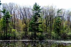 Dickson Wilderness Area