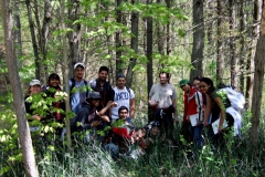 Everyone in a forest of Equisetum hyemale