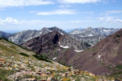 Mountains and Hymenoxys grandiflora