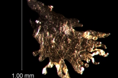 infrastaminal scale