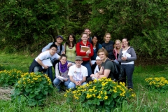 group photo with Caltha palustris