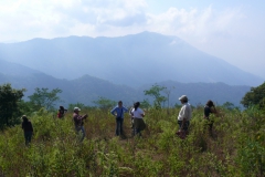 Botanists in action...
