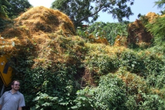 Michael with unknown sp. on the north side of Lake Chapala, Aug 2009