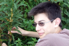 Atlee collecting Cuscuta gronovii at Long Point, ON