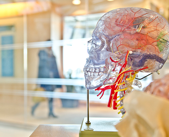 post image 1 - Lazaridis IP and Innovation Blog